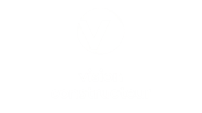 vision logo